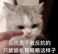 我在玩一个私服传奇 合击的 【传奇吧】